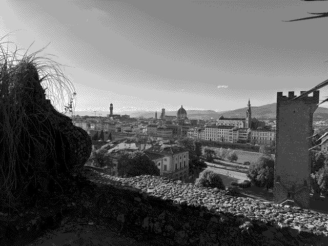 Looking at central Florence from a nearby hilltop. (This little hike broke our stroller).
