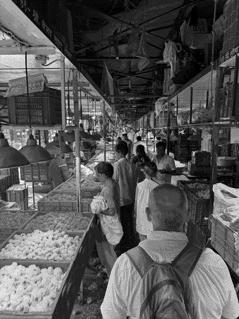 A morning walk through the Dadar Flower market.