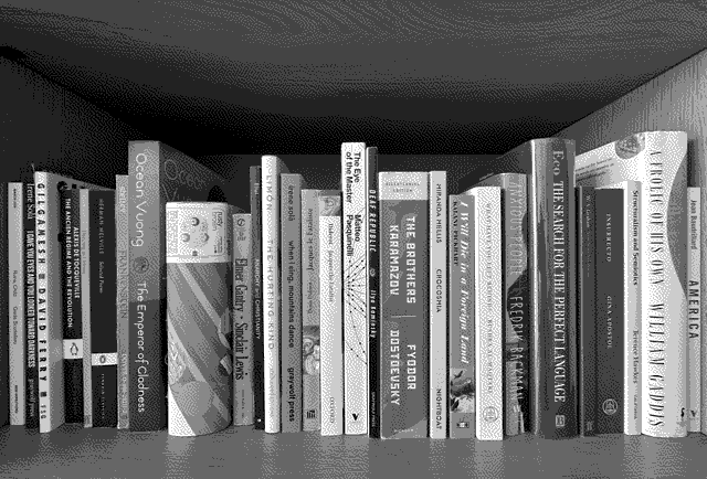Not pictured: ebooks & library books.