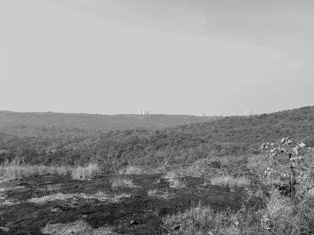 View from an overlook we paused at.