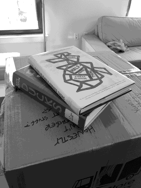 a picture of 'Ducks' by Kate Beaton in situ.