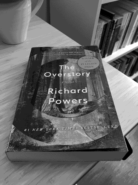 a picture of 'The Overstory' by Richard Powers in situ.
