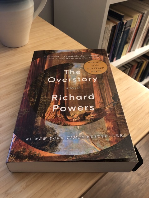 image of The Overstory in-situ