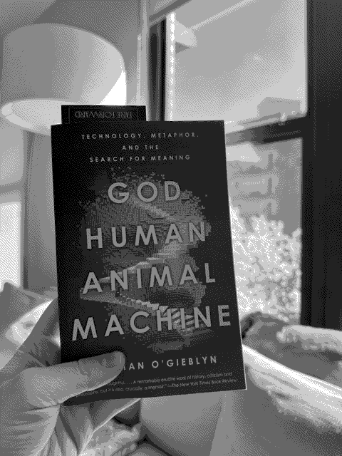 a picture of 'God, Human, Animal, Machine' by Meghan O'Gieblyn in situ.