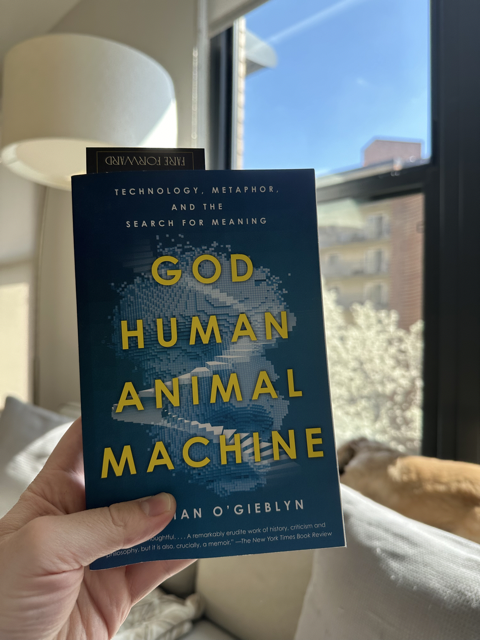image of God, Human, Animal, Machine in-situ