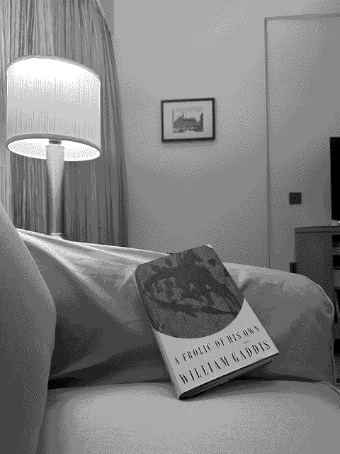 a picture of 'A Frolic of His Own' by William Gaddis in situ.