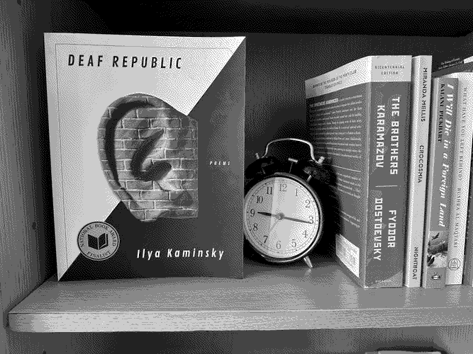 a copy of 'Deaf Republic'  in its natural environment.