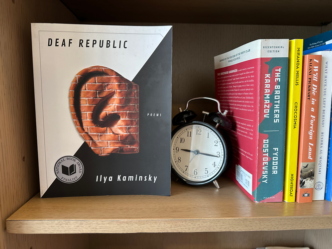 image of Deaf Republic in-situ