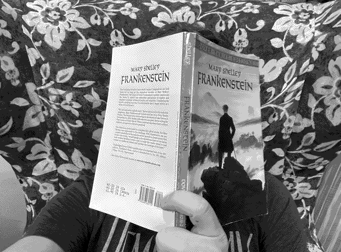 a picture of 'Frankenstein' by Mary Shelley in situ.