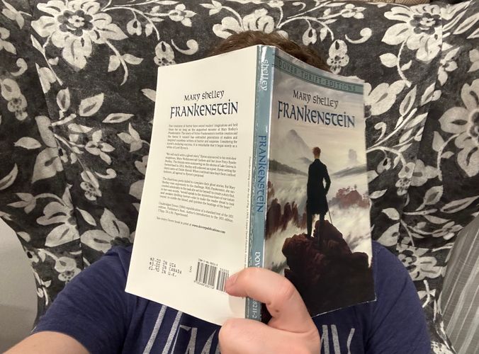 image of Frankenstein in-situ