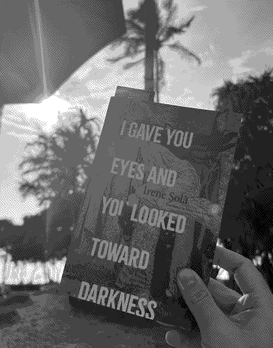 a picture of 'I Gave You Eyes and You Looked Toward Darkness' by Irene Solà in situ.
