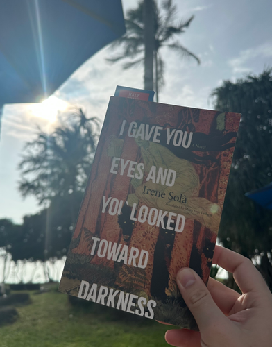 image of I Gave You Eyes and You Looked Toward Darkness in-situ