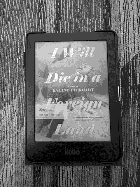 a picture of 'I Will Die in a Foreign Land' by Kalani Pickhart in situ.