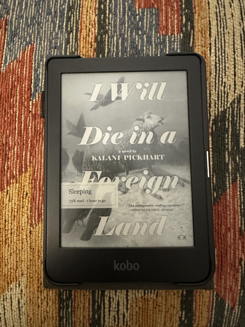 image of I Will Die in a Foreign Land in-situ