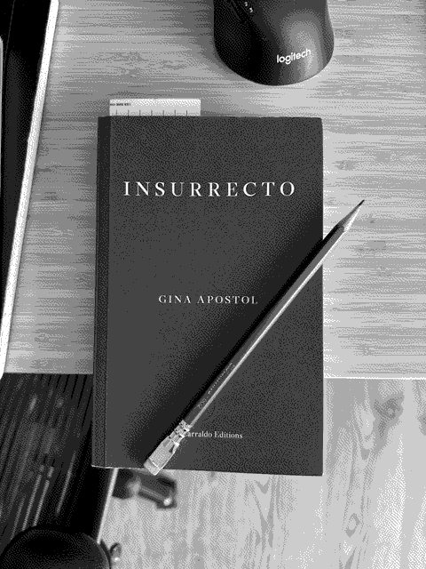 a picture of 'Insurrecto' by Gina Apostol in situ.