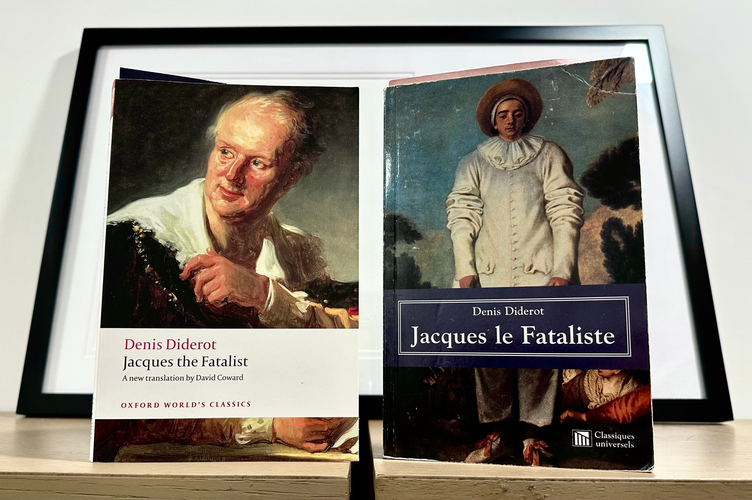 image of Jacques the Fatalist in-situ