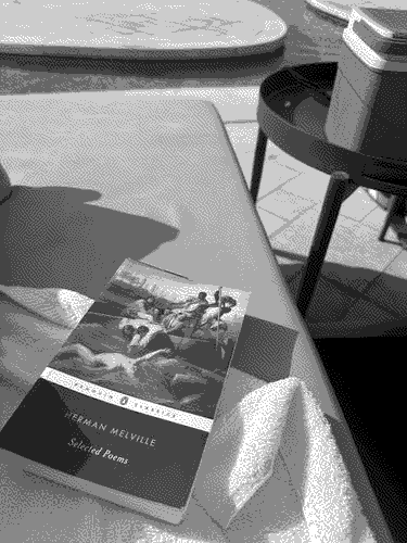 a picture of 'Selected Poems' by Herman Melville in situ.