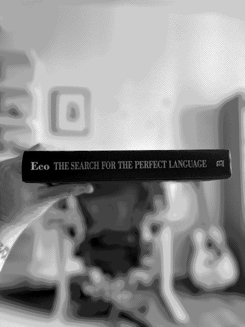 a picture of 'The Search for the Perfect Language' by Umberto Eco in situ.