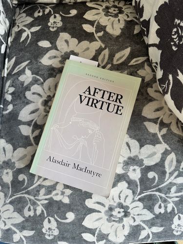 image of After Virtue in-situ