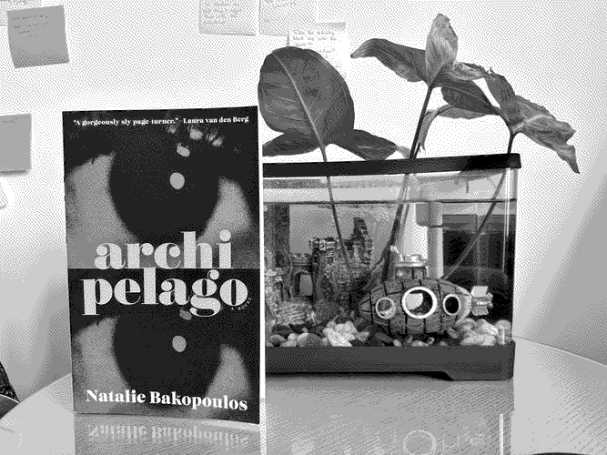 a picture of 'Archipelago' by Natalie Bakopoulos in situ.