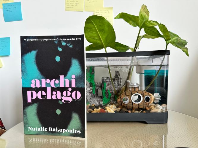 image of Archipelago in-situ