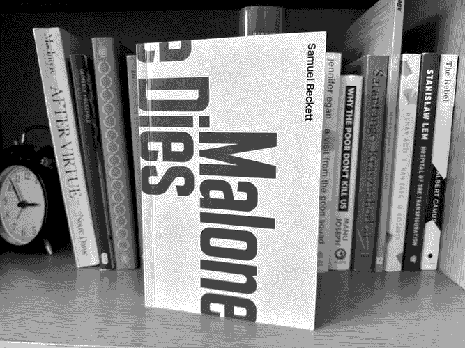 a picture of 'Malone Dies' by Samuel Beckett in situ.