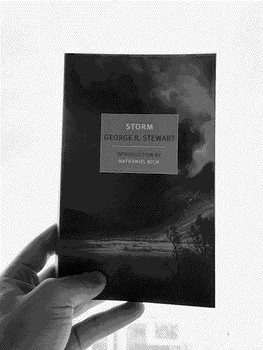a picture of 'Storm' by George R. Stewart in situ.
