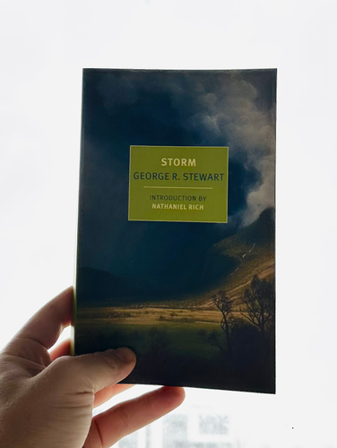 image of Storm in-situ