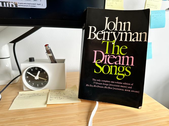 image of The Dream Songs in-situ