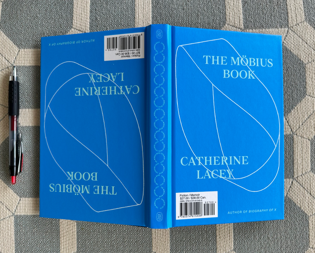 image of The Möbius Book in-situ