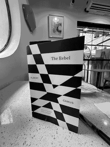 a picture of 'The Rebel' by Albert Camus in situ.