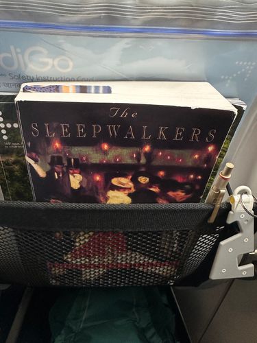 image of The Sleepwalkers in-situ