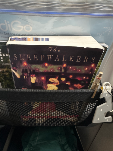 image of The Sleepwalkers in-situ