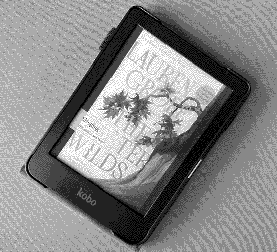 a picture of 'The Vaster Wilds' by Lauren Groff in situ.