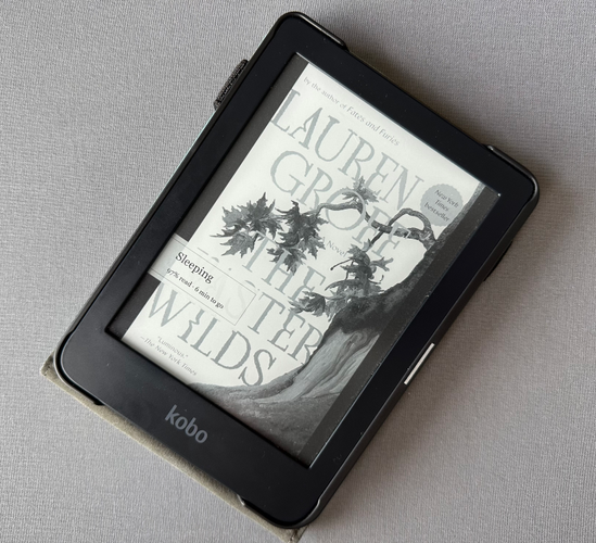 image of The Vaster Wilds in-situ